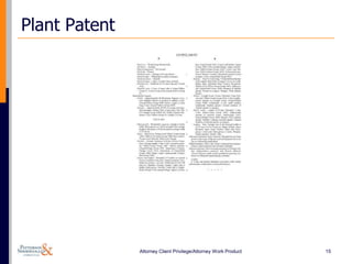 Plant Patent




               Attorney Client Privilege/Attorney Work Product   15
 