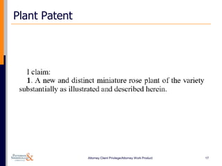 Plant Patent




               Attorney Client Privilege/Attorney Work Product   17
 