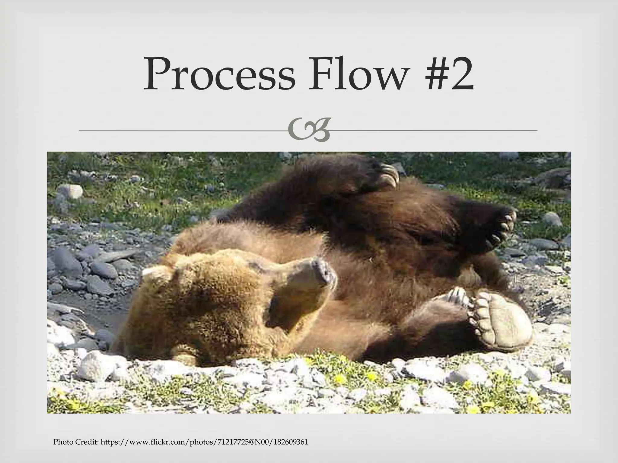 
Process Flow #2
Photo Credit: https://www.flickr.com/photos/71217725@N00/182609361
 