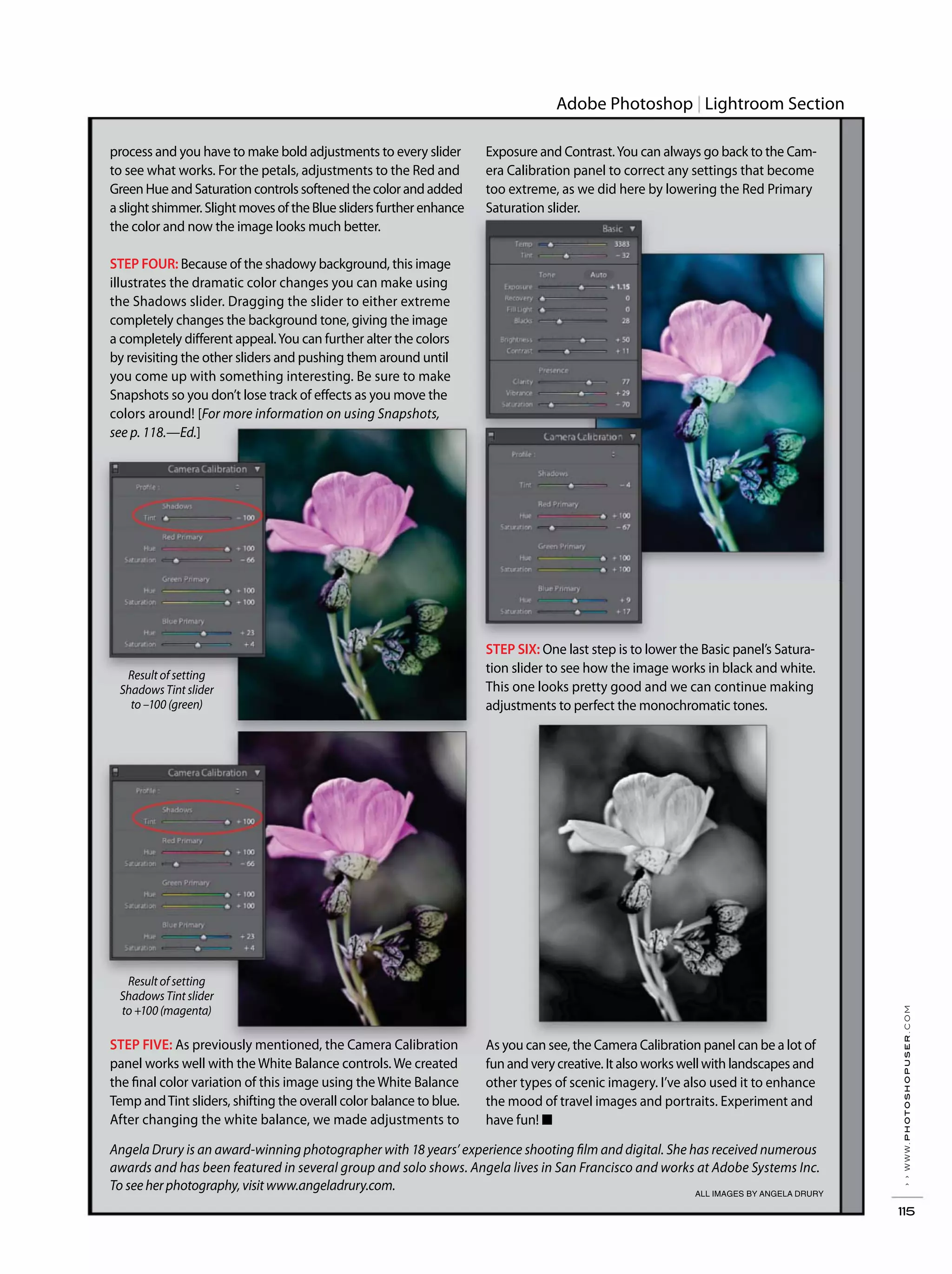 Adobe Photoshop Lightroom Section
››www.photoshopuser.com
115
ALL IMAGES BY ANGELA DRURY
process and you have to make bold adjustments to every slider
to see what works. For the petals, adjustments to the Red and
Green Hue and Saturation controls softened the color and added
a slight shimmer. Slight moves of the Blue sliders further enhance
the color and now the image looks much better.
STEP FOUR: Because of the shadowy background, this image
illustrates the dramatic color changes you can make using
the Shadows slider. Dragging the slider to either extreme
completely changes the background tone, giving the image
a completely different appeal.You can further alter the colors
by revisiting the other sliders and pushing them around until
you come up with something interesting. Be sure to make
Snapshots so you don’t lose track of effects as you move the
colors around! [For more information on using Snapshots,
see p. 118.—Ed.]
Exposure and Contrast.You can always go back to the Cam-
era Calibration panel to correct any settings that become
too extreme, as we did here by lowering the Red Primary
Saturation slider.
STEP SIX: One last step is to lower the Basic panel’s Satura-
tion slider to see how the image works in black and white.
This one looks pretty good and we can continue making
adjustments to perfect the monochromatic tones.
Angela Drury is an award-winning photographer with 18 years’ experience shooting film and digital. She has received numerous
awards and has been featured in several group and solo shows. Angela lives in San Francisco and works at Adobe Systems Inc.
To see her photography, visit www.angeladrury.com.
As you can see, the Camera Calibration panel can be a lot of
fun and very creative. It also works well with landscapes and
other types of scenic imagery. I’ve also used it to enhance
the mood of travel images and portraits. Experiment and
have fun! ■
Result of setting
Shadows Tint slider
to –100 (green)
Result of setting
Shadows Tint slider
to +100 (magenta)
STEP FIVE: As previously mentioned, the Camera Calibration
panel works well with the White Balance controls. We created
the final color variation of this image using the White Balance
Temp andTint sliders, shifting the overall color balance to blue.
After changing the white balance, we made adjustments to
 