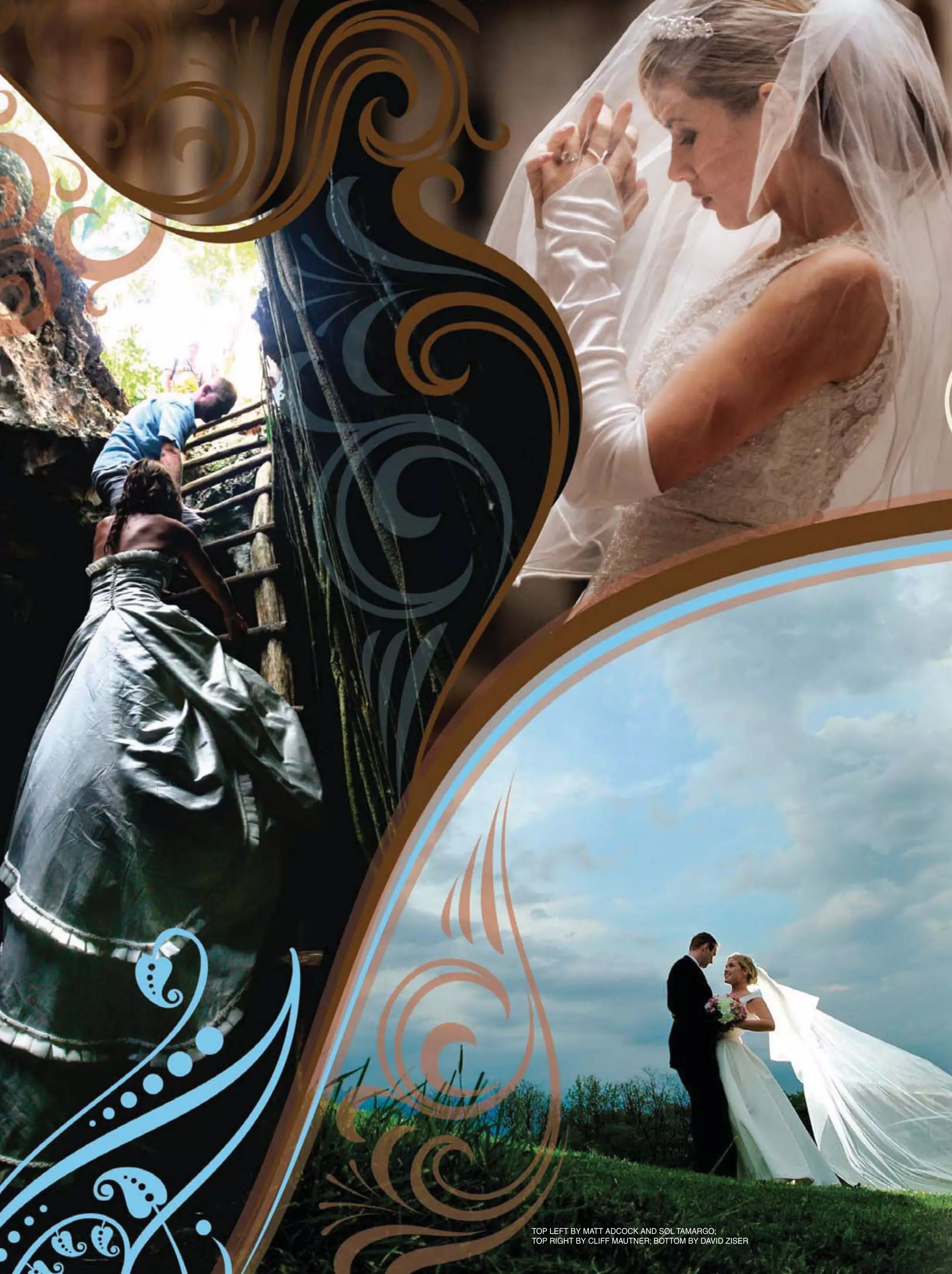 TOP LEFT BY MATT ADCOCK AND SOL TAMARGO;
TOP RIGHT BY CLIFF MAUTNER; BOTTOM BY DAVID ZISER
 