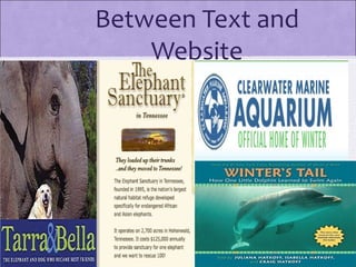 Between Text and
    Website
 