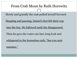 From Crab Moon by Ruth Horowitz

Slowly and grandly the crab pulled herself forward.

Stepping and pausing, Daniel’s feet felt their way

into the bay. He followed until she disappeared.

Then he gave the water one last, long look and

whispered to the horseshoe crab, “See you next

summer.”
 