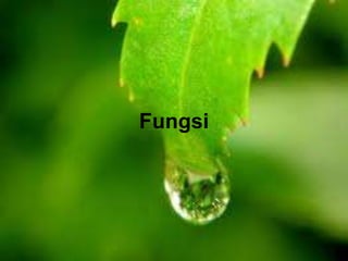 Fungsi
 