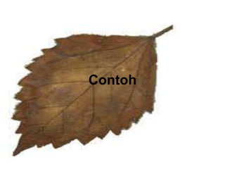 Contoh
 