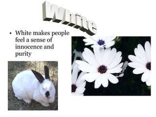 • White makes people
feel a sense of
innocence and
purity
 