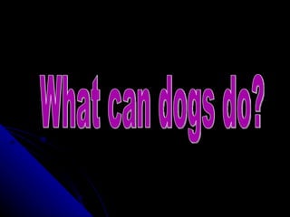 What can dogs do? 