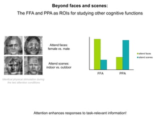 Beyond faces and scenes:
The FFA and PPA as ROIs for studying other cognitive functions
0
1
2
3
4
5
6
FFA PPA
attend faces
attend scenes
Attend faces:
female vs. male
Attend scenes:
indoor vs. outdoor
Attention enhances responses to task-relevant information!
Identical physical stimulation during
the two attention conditions
 