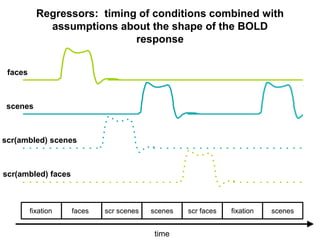 scr(ambled) scenes
scr(ambled) faces
faces scenesscr scenes scr faces fixation scenesfixation
faces
scenes
time
Regressors: timing of conditions combined with
assumptions about the shape of the BOLD
response
 