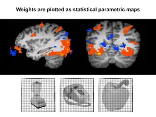 Weights are plotted as statistical parametric maps
 