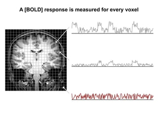 A [BOLD] response is measured for every voxel
 