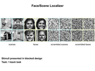 Face/Scene Localizer
scenes faces scrambled scenes scrambled faces
Stimuli presented in blocked design
Task: 1-back task
 