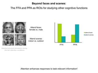 Beyond faces and scenes:
The FFA and PPA as ROIs for studying other cognitive functions
0
1
2
3
4
5
6
FFA PPA
attend faces...