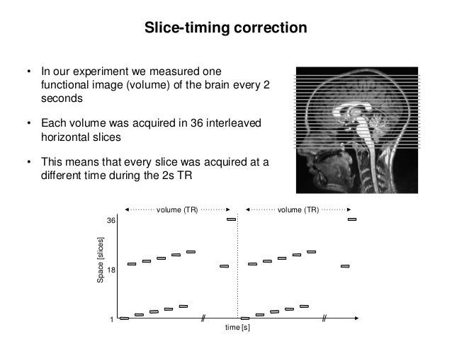 Introduction To Fmri