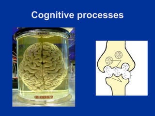Cognitive processes
 