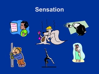 Sensation
 