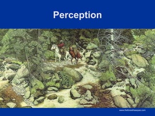 Perception




             www.theforesthaseyes.com
 