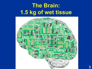 The Brain:  1.5 kg of wet tissue 