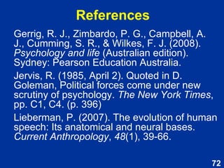 They are hunting  dogs . 