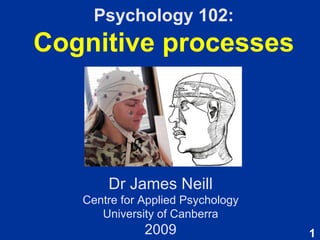 Psychology 102: Cognitive processes Dr James Neill Centre for Applied Psychology University of Canberra 2009 