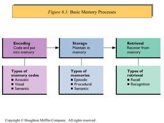 Comprehensive Overview of Human Memory Processes and Improvement ...
