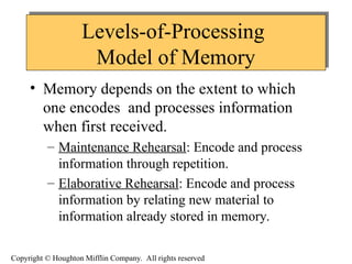 Comprehensive Overview of Human Memory Processes and Improvement ...