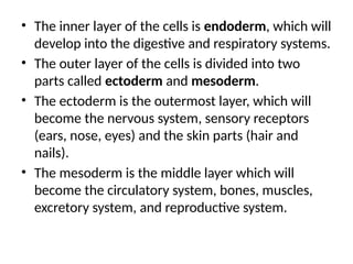 • The inner layer of the cells is endoderm, which will
develop into the digestive and respiratory systems.
• The outer layer of the cells is divided into two
parts called ectoderm and mesoderm.
• The ectoderm is the outermost layer, which will
become the nervous system, sensory receptors
(ears, nose, eyes) and the skin parts (hair and
nails).
• The mesoderm is the middle layer which will
become the circulatory system, bones, muscles,
excretory system, and reproductive system.
 