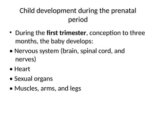 Child development during the prenatal
period
• During the first trimester, conception to three
months, the baby develops:
• Nervous system (brain, spinal cord, and
nerves)
• Heart
• Sexual organs
• Muscles, arms, and legs
 
