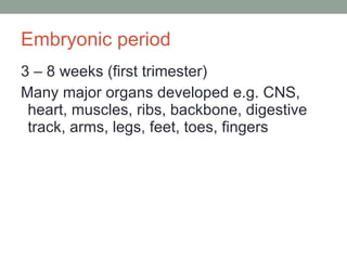 Embryonic period 3 – 8 weeks (first trimester) Many major organs developed e.g. CNS, heart, muscles, ribs, backbone, digestive track, arms, legs, feet, toes, fingers 