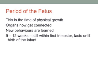 Period of the Fetus This is the time of physical growth Organs now get connected  New behaviours are learned 9 – 12 weeks – still within first trimester, lasts until birth of the infant 