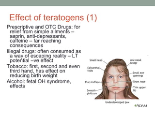 Effect of teratogens (1) Prescriptive and OTC Drugs: for relief from simple ailments – asprin, anti-depressants, caffeine – far reaching consequences Illegal drugs: often consumed as a way of escaping reality – LT potential –ve effect Tobacco: first, second and even third hand, has effect on reducing birth weight Alcohol: fetal OH syndrome, effects 