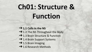 Ch01: Structure &
Function
➔1.1 Cells in the NS
➔1.2 The NS Throughout the Body
➔1.3 Brain Structure & Function
➔1.4 Brain Support Systems
➔1.5 Brain Imaging
➔1.6 Research Methods
 