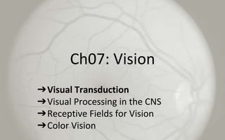 Ch07: Vision
➔Visual Transduction
➔Visual Processing in the CNS
➔Receptive Fields for Vision
➔Color Vision
 