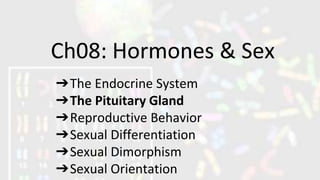 Ch08: Hormones & Sex
➔The Endocrine System
➔The Pituitary Gland
➔Reproductive Behavior
➔Sexual Differentiation
➔Sexual Dimorphism
➔Sexual Orientation
 