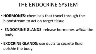 THE ENDOCRINE SYSTEM
• HORMONES: chemicals that travel through the
bloodstream to act on target tissue
• ENDOCRINE GLANDS: release hormones within the
body
• EXOCRINE GLANDS: use ducts to secrete fluid
outside the body
 