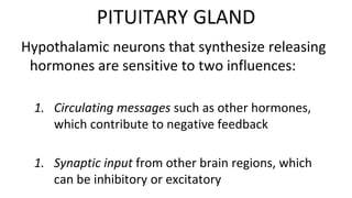 Hypothalamic neurons that synthesize releasing
hormones are sensitive to two influences:
1. Circulating messages such as other hormones,
which contribute to negative feedback
1. Synaptic input from other brain regions, which
can be inhibitory or excitatory
PITUITARY GLAND
 