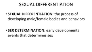 SEXUAL DIFFERENTIATION
• SEXUAL DIFFERENTIATION: the process of
developing male/female bodies and behaviors
• SEX DETERMINATION: early developmental
events that determines sex
 