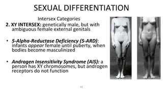 62
Intersex Categories
2. XY INTERSEX: genetically male, but with
ambiguous female external genitals
• 5-Alpha-Reductase Deficiency (5-ARD):
infants appear female until puberty, when
bodies become masculinized
• Androgen Insensitivity Syndrome (AIS): a
person has XY chromosomes, but androgen
receptors do not function
SEXUAL DIFFERENTIATION
 