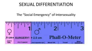 The “Social Emergency” of Intersexuality
SEXUAL DIFFERENTIATION
 