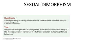 Figure 8.29 Organizational Effects
of Testosterone on Rodent
Behavior (Part 1)
SEXUAL DIMORPHISM
 