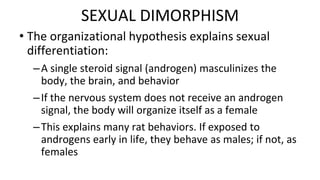 • The organizational hypothesis explains sexual
differentiation:
–A single steroid signal (androgen) masculinizes the
body, the brain, and behavior
–If the nervous system does not receive an androgen
signal, the body will organize itself as a female
–This explains many rat behaviors. If exposed to
androgens early in life, they behave as males; if not, as
females
SEXUAL DIMORPHISM
 