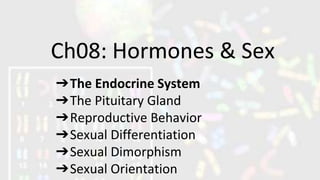 Ch08: Hormones & Sex
➔The Endocrine System
➔The Pituitary Gland
➔Reproductive Behavior
➔Sexual Differentiation
➔Sexual Dimorphism
➔Sexual Orientation
 