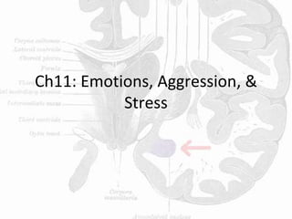 Ch11: Emotions, Aggression, &
Stress
 