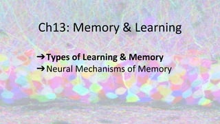 Ch13: Memory & Learning
➔Types of Learning & Memory
➔Neural Mechanisms of Memory
 