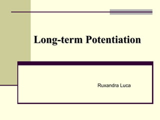 Long-term Potentiation Ruxandra Luca 