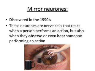 Mirror neurones:
• Discovered in the 1990’s
• These neurones are nerve cells that react
when a person performs an action, but also
when they observe or even hear someone
performing an action
 