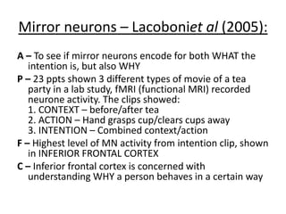 Mirror neurons – Lacoboniet al (2005):
A – To see if mirror neurons encode for both WHAT the
intention is, but also WHY
P – 23 ppts shown 3 different types of movie of a tea
party in a lab study, fMRI (functional MRI) recorded
neurone activity. The clips showed:
1. CONTEXT – before/after tea
2. ACTION – Hand grasps cup/clears cups away
3. INTENTION – Combined context/action
F – Highest level of MN activity from intention clip, shown
in INFERIOR FRONTAL CORTEX
C – Inferior frontal cortex is concerned with
understanding WHY a person behaves in a certain way
 