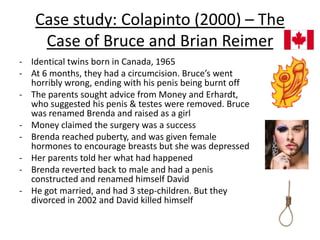 Gorskiet al (1985) influence of
hormones (rats):
• Female rats injected with
testosterone prior to birth
• Rats developed ambiguous
genitals (enlarged clitoris), and
parts of brains looked like
males
• Behaviour was ‘masculinised’
– Female rats tried to mate
other female rats…
 