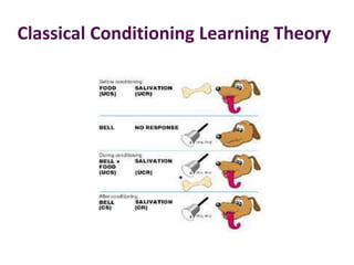 Classical Conditioning Learning Theory
 
