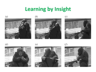 Learning by Insight
 